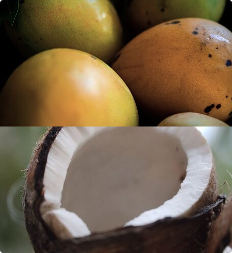 Mango and Coconut Milk | Demure Home