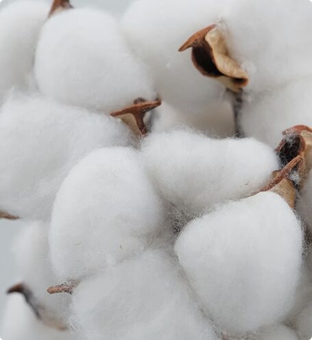 Аромат свіжовипраної білизни, що наповнює простір чистотою, легкістю та відчуттям домашнього комфорту